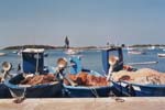 Fischerboote