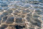 glasklares Meer