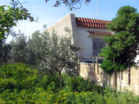 caption for image5