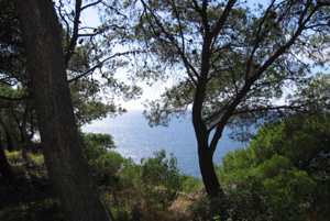 Porto Selvaggio Porto Selvaggio