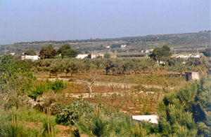 Blick ins Landesinnere Blick ins Landesinnere